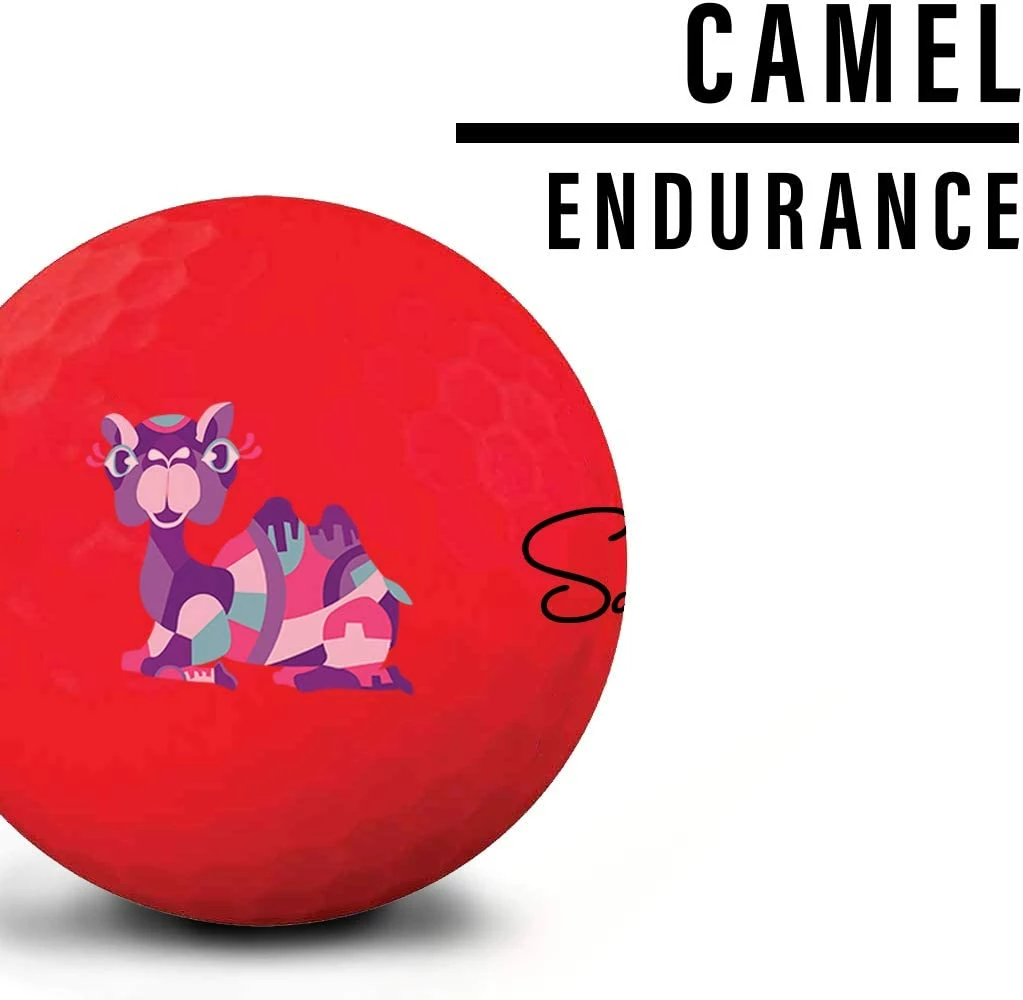 Saintnine America Saintnine Misty Premium Matte Golf Balls - Image 6